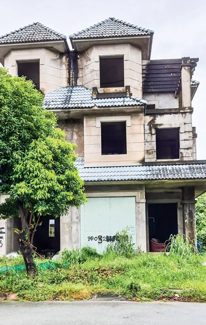 Quá lãng phí nhà, đất bỏ hoang ảnh 1