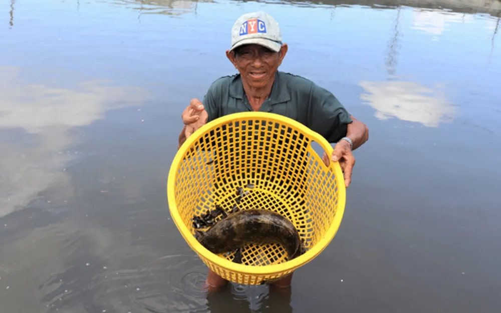 Nuôi cá đặc sản, đếm con tính tiền lãi. Mô hình nuôi cá mú mang lại hiệu quả kinh tế cao cho gia đình ông Phạm Văn Hai ở huyện Long Điền, tỉnh Bà Rịa - Vũng Tàu. (Ảnh: VietnamNet)