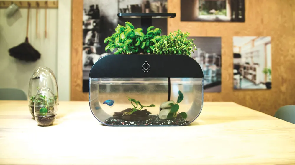 Không gian sống xanh cùng công nghệ ảnh 2