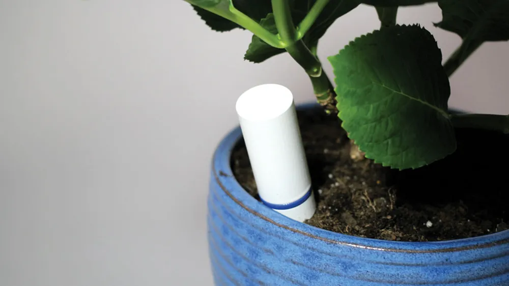 Không gian sống xanh cùng công nghệ ảnh 5