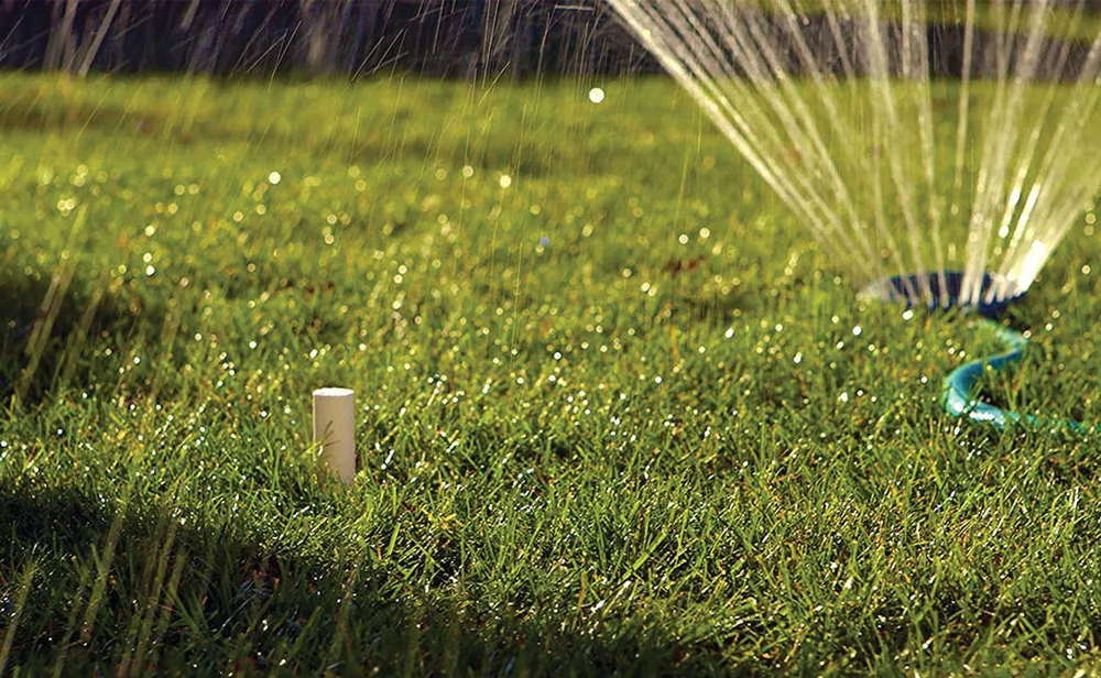 Không gian sống xanh cùng công nghệ ảnh 4