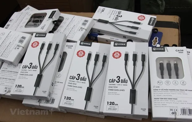 Viet Nam dang doi mat voi nhieu lo hong trong gian lan xuat xu hinh anh 2