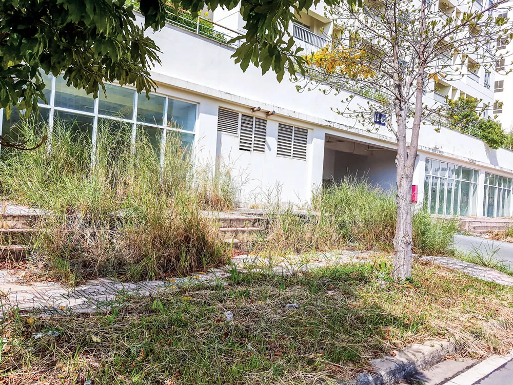 Xót xa nhà hoang trên “đất vàng” ảnh 2