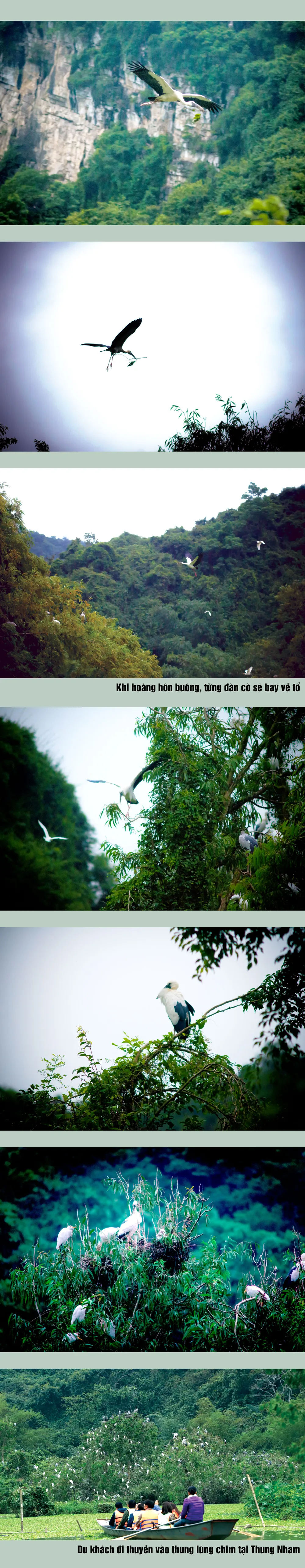 Trắng trời thung lũng cò ảnh 1