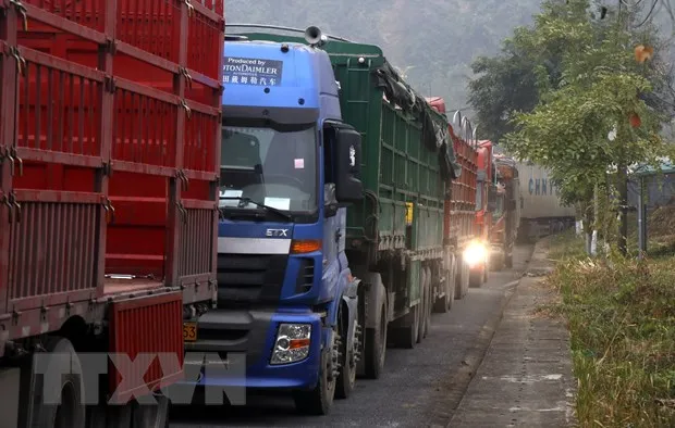 Hang nghin xe container bi mac ket o cua khau Kim Thanh-Lao Cai hinh anh 2