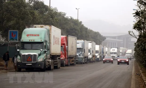 Hang nghin xe container bi mac ket o cua khau Kim Thanh-Lao Cai hinh anh 1