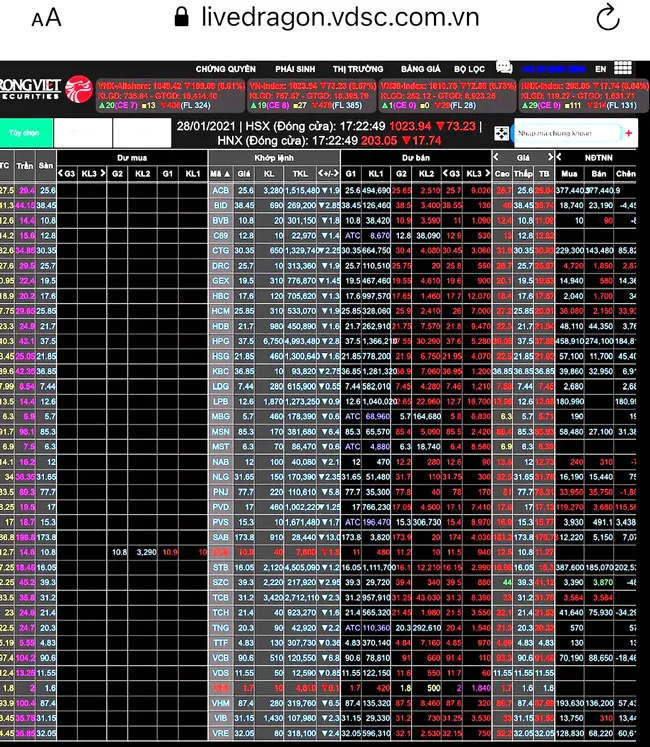 Thị trường chứng khoán giảm sâu ảnh 1