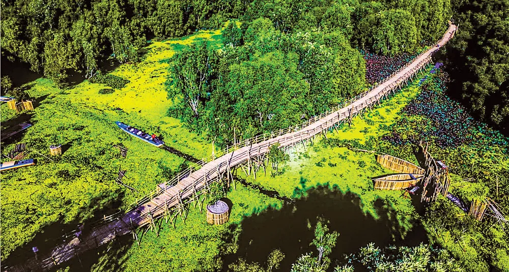 An Giang - Nỗ lực vươn lên nhóm đầu ĐBSCL ảnh 1