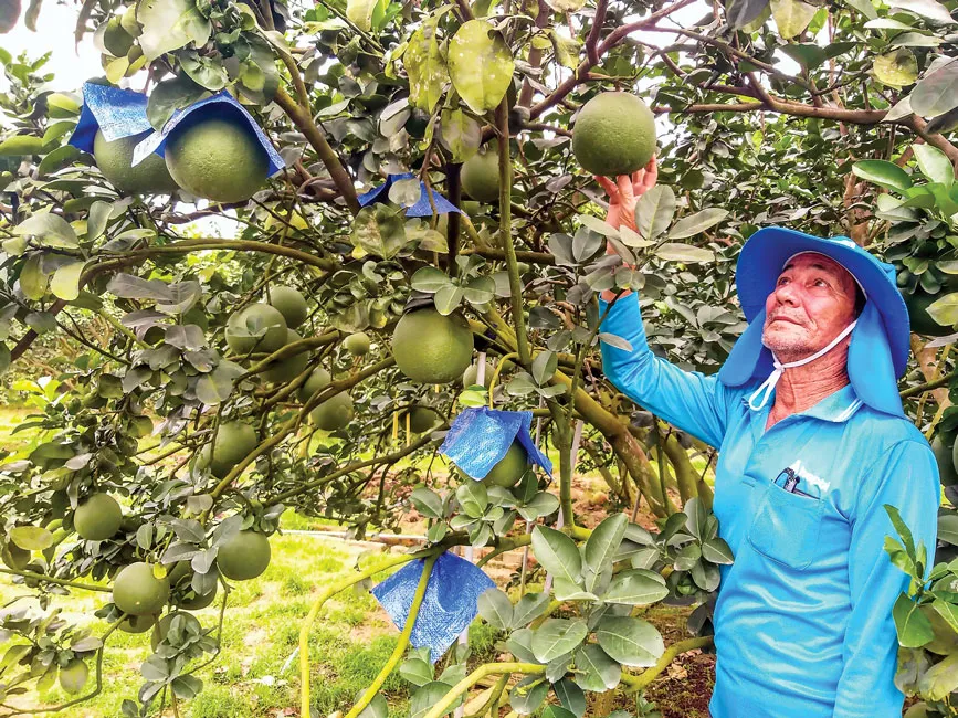 Khu dân cư nông thôn mới kiểu mẫu ở Đồng Nai ảnh 2