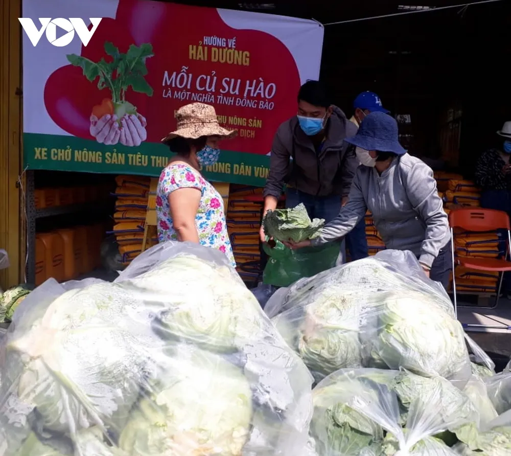 Người dân nhiều tỉnh thành nhiệt tình "giải cứu" nông sản Hải Dương ảnh 7