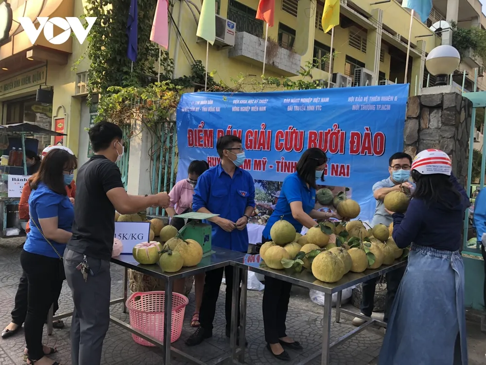 Người dân nhiều tỉnh thành nhiệt tình "giải cứu" nông sản Hải Dương ảnh 4