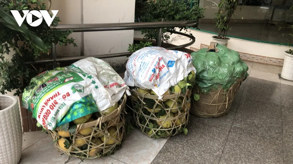 Người dân nhiều tỉnh thành nhiệt tình "giải cứu" nông sản Hải Dương ảnh 5