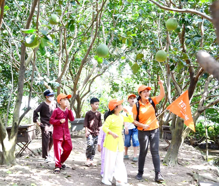 Du lịch khởi động trở lại ảnh 1