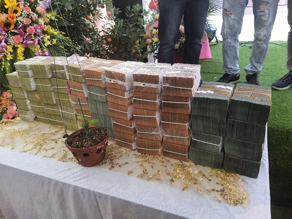 Thương vụ chuyển nhượng lan var Ngọc Sơn Cước 1 thân mẹ dài 4cm và mầm gốc dài 2cm trị giá 16 tỷ đồng ở Sóc Sơn, Hà Nội.