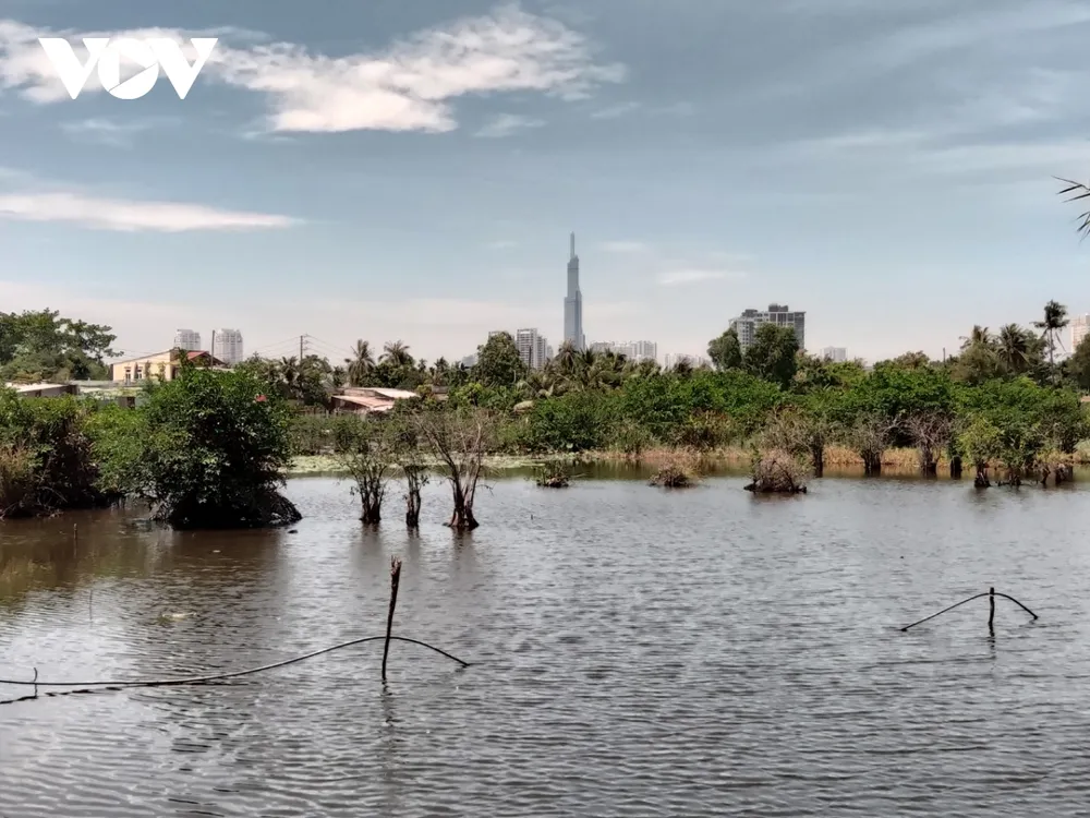 Sống khổ tại dự án "treo" gần 30 năm ở bán đảo Bình Quới - Thanh Đa, TPHCM ảnh 4