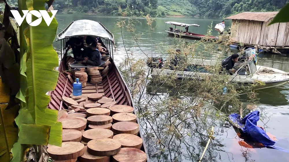 Lỗ hổng pháp lý truy xuất nguồn gốc lâm sản: Gỗ luồn rừng về xuôi? ảnh 1