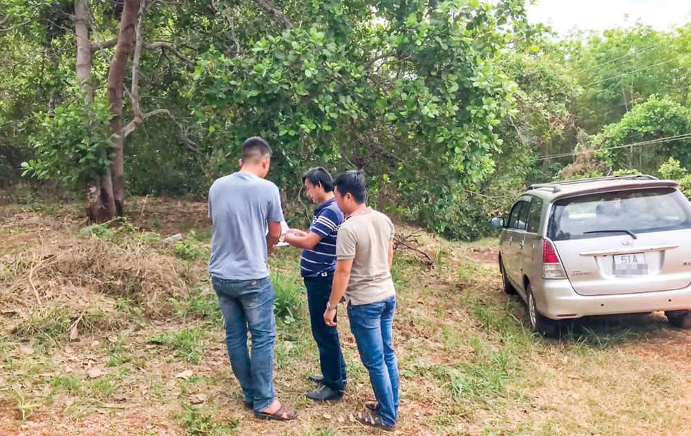 Ảnh chỉ mang tính chất minh họa.