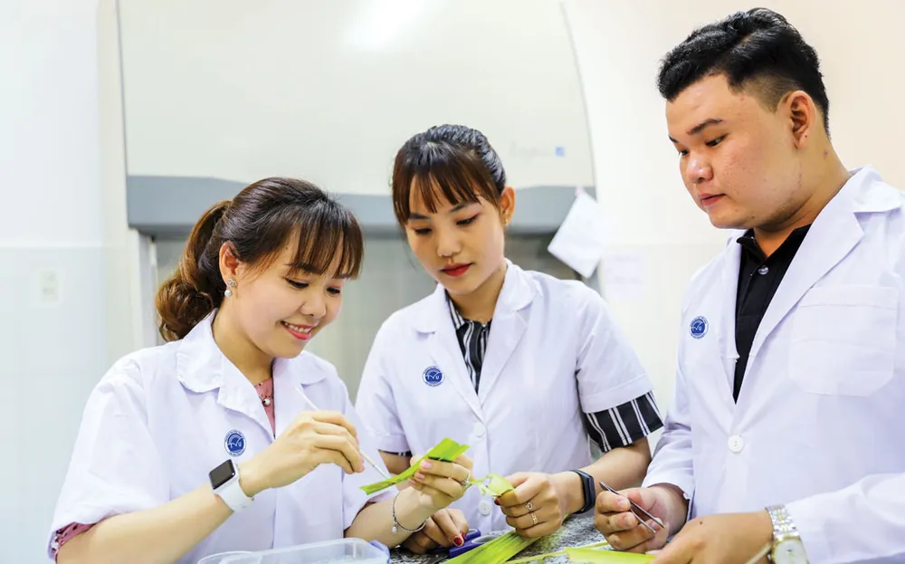 Đại học Trà Vinh 20 năm phát triển ảnh 1