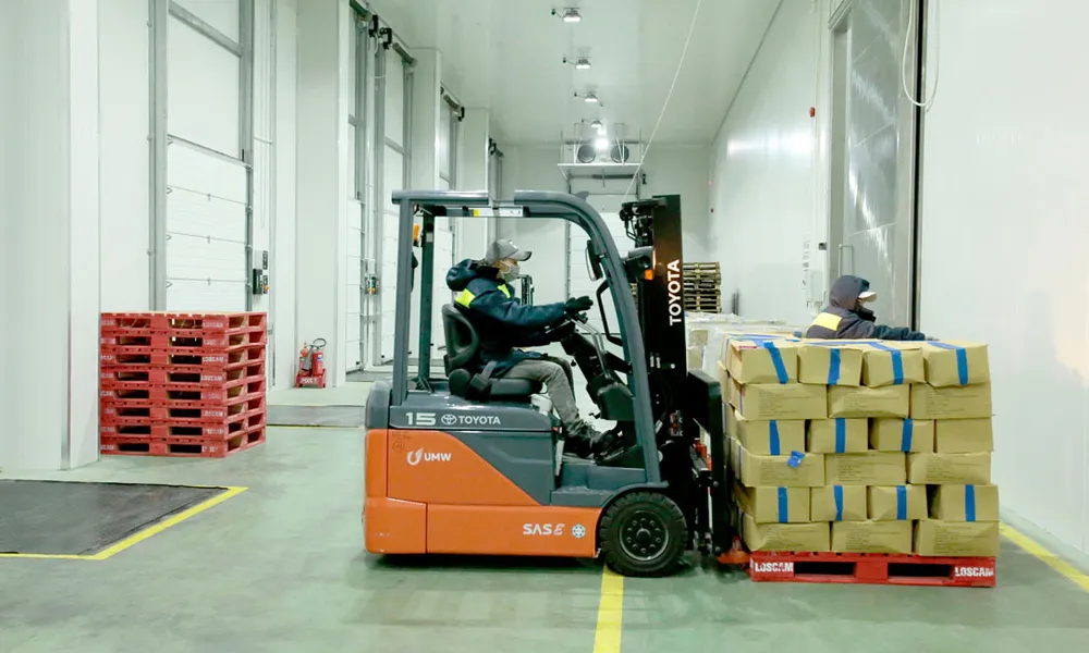 “Giấy thông hành” cho trái cây ĐBSCL ảnh 1