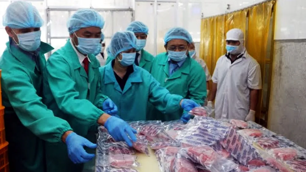 Tăng năng lực xuất khẩu, các FTA ngày càng thể hiện như một điểm sáng trong bức tranh tăng trưởng kinh tế của Việt Nam.