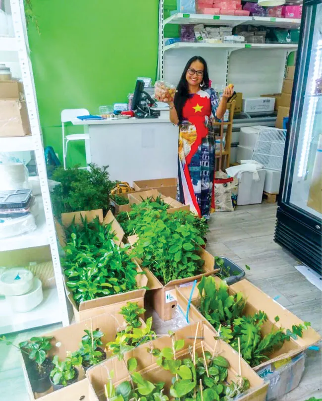 Dặm trường nông sản Việt vào châu Âu ảnh 2