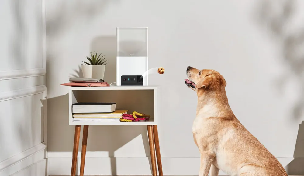 Tiện ích công nghệ ngộ nghĩnh ảnh 1