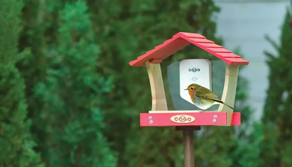 Tiện ích công nghệ ngộ nghĩnh ảnh 2