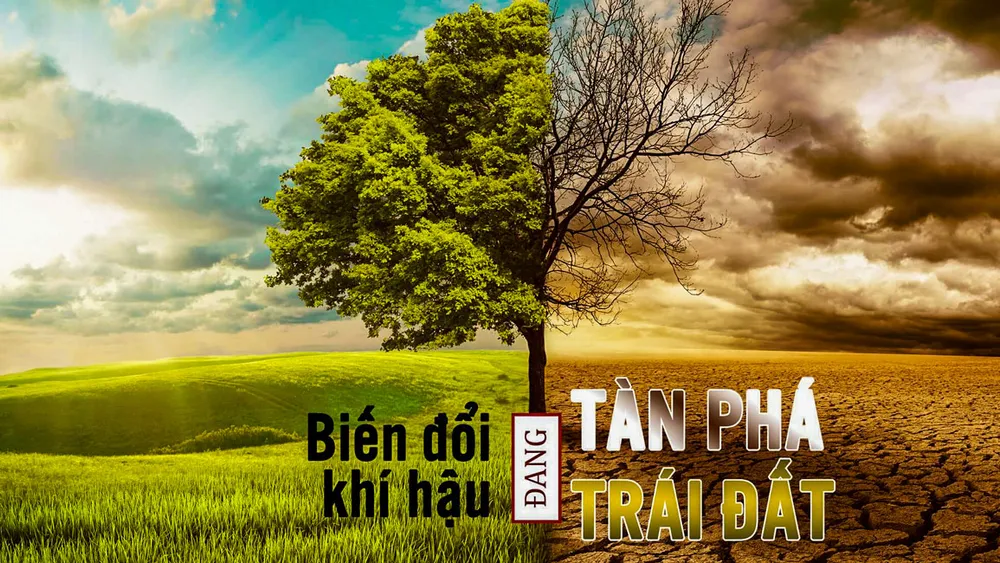 130.000 tỷ USD: Canh bạc lớn với biến đổi khí hậu?