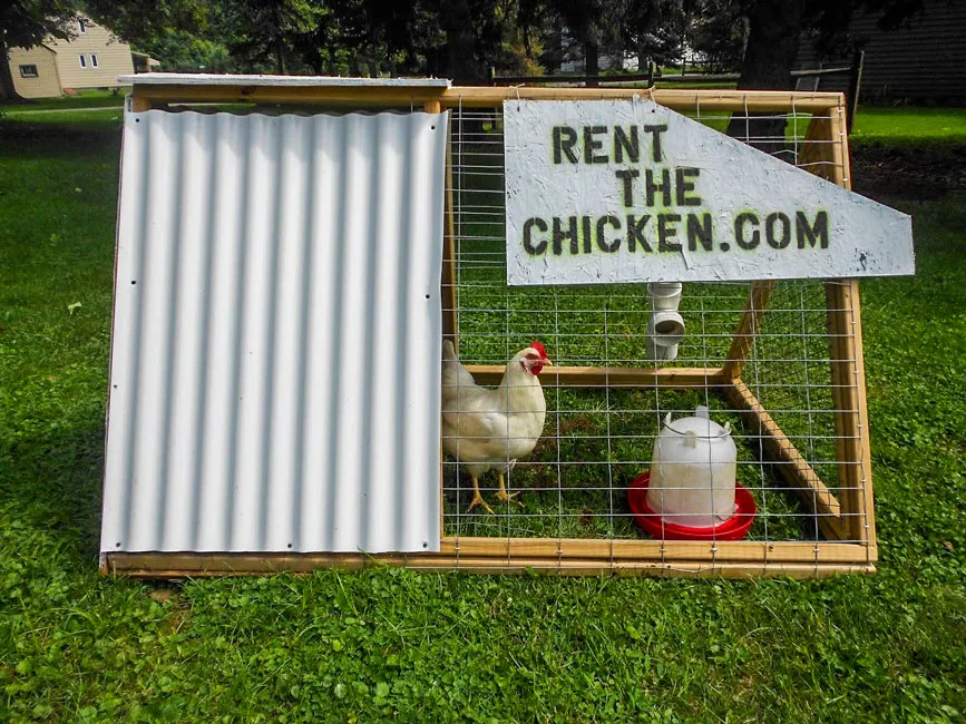 5 ý tưởng kinh doanh kỳ lạ nhưng thành công ảnh 2