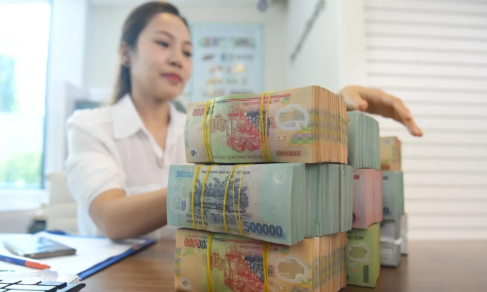 Nợ xấu tiềm ẩn tăng cao trở lại ảnh 1