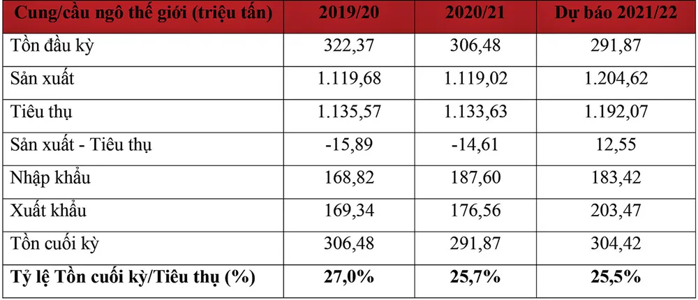 Triển vọng nào cho giá ngô sắp tới? ảnh 1