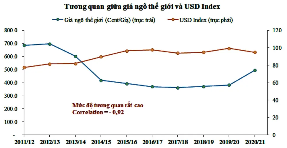 Triển vọng nào cho giá ngô sắp tới? ảnh 5