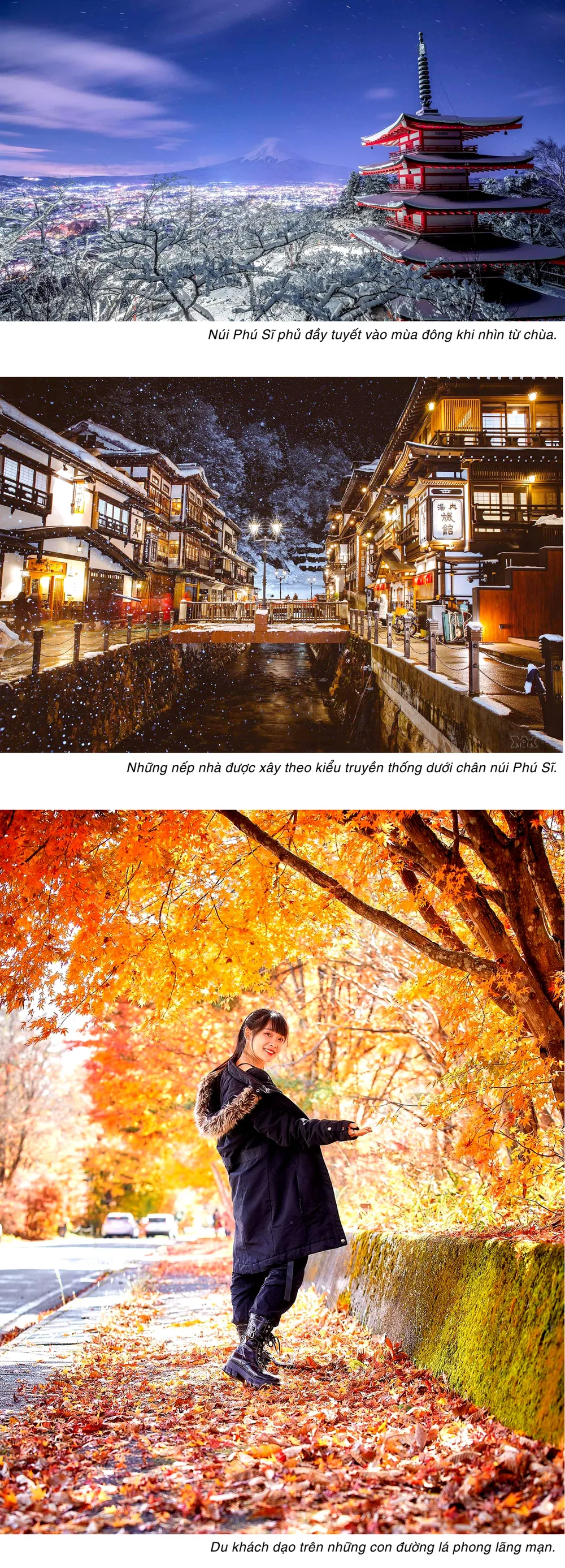 Muôn màu núi Phú Sĩ ảnh 2