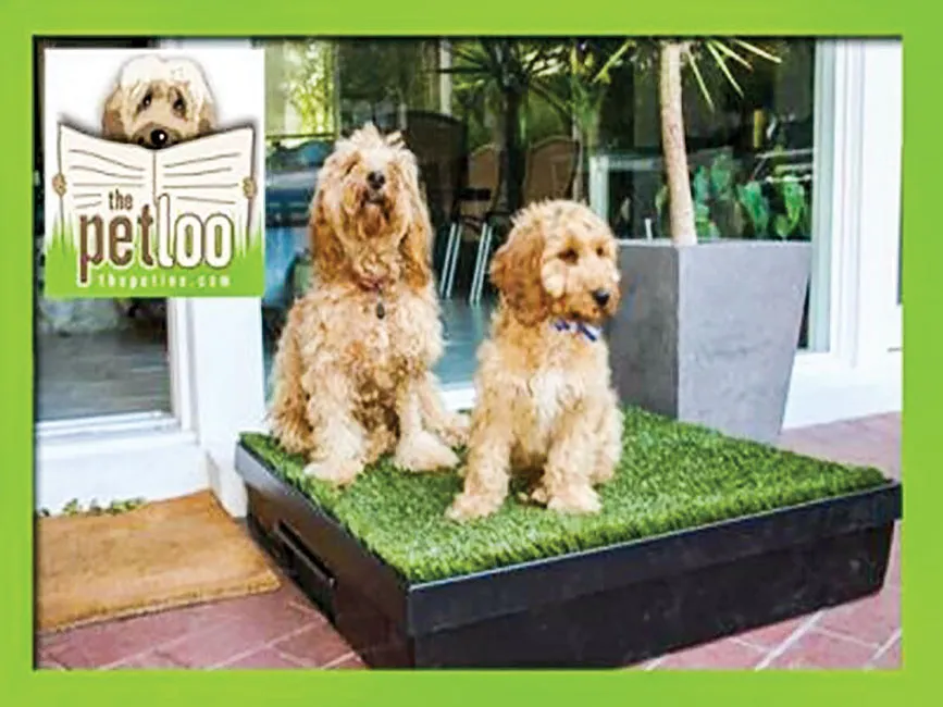 Thành công nhờ… bô cho chó ảnh 1