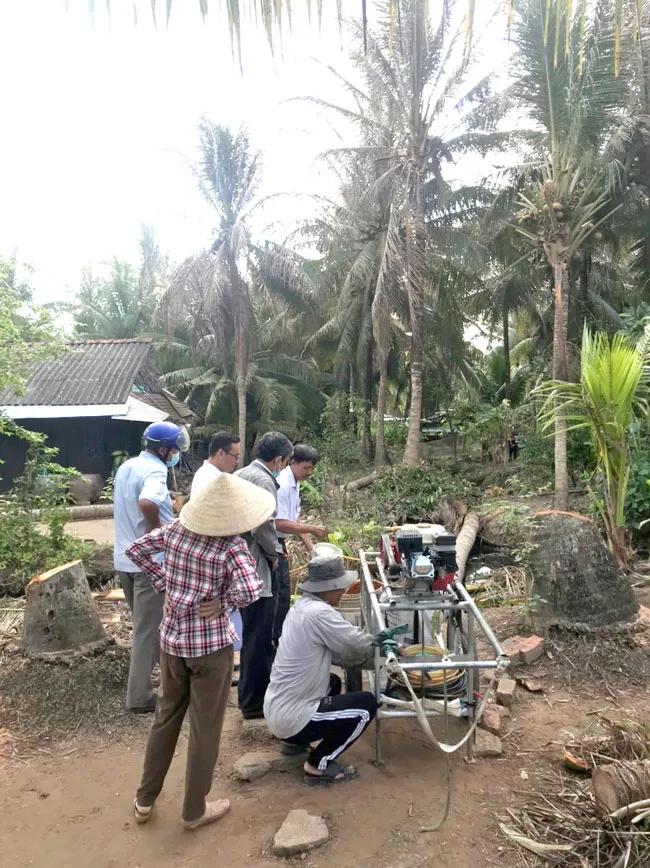 Bến Tre thả ong ký sinh diệt sâu hại dừa ảnh 1