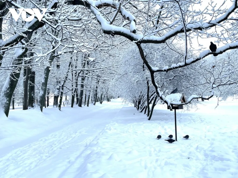 Mê mẩn với mùa đông Nga trong chiếc áo choàng tuyết ảnh 6