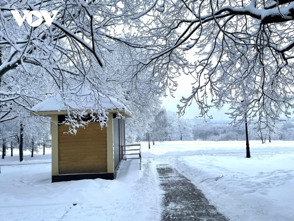 Mê mẩn với mùa đông Nga trong chiếc áo choàng tuyết ảnh 8