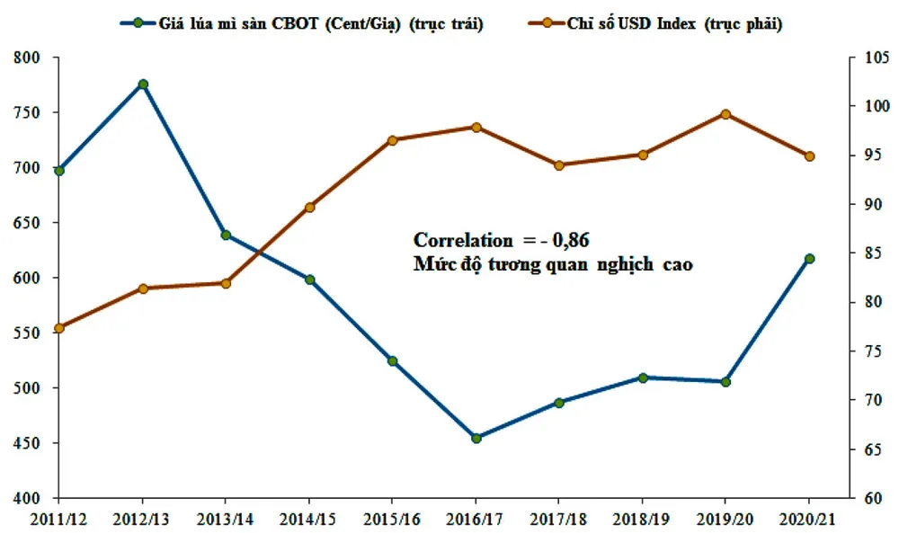 Giá lúa mì sẽ ổn định trong 2021-2022? ảnh 4