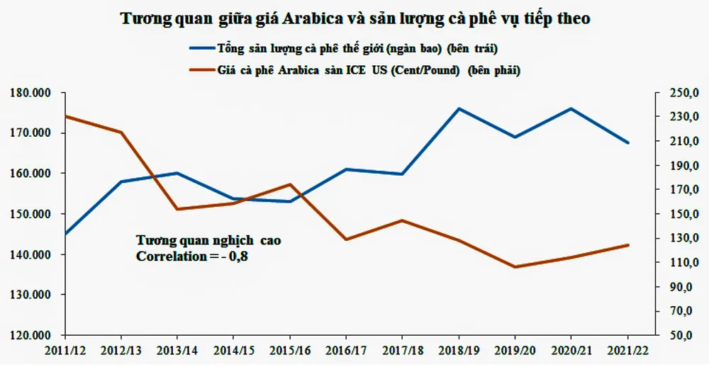 Giá cà phê đạt đỉnh sau 12 năm ảnh 2
