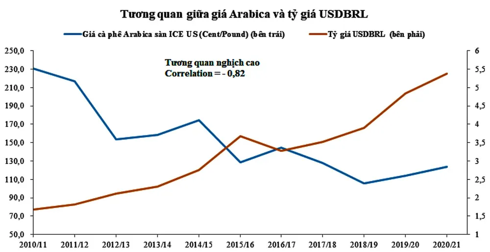 Giá cà phê đạt đỉnh sau 12 năm ảnh 3