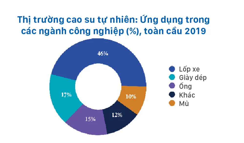 Triển vọng giá cao su năm 2022 ảnh 1