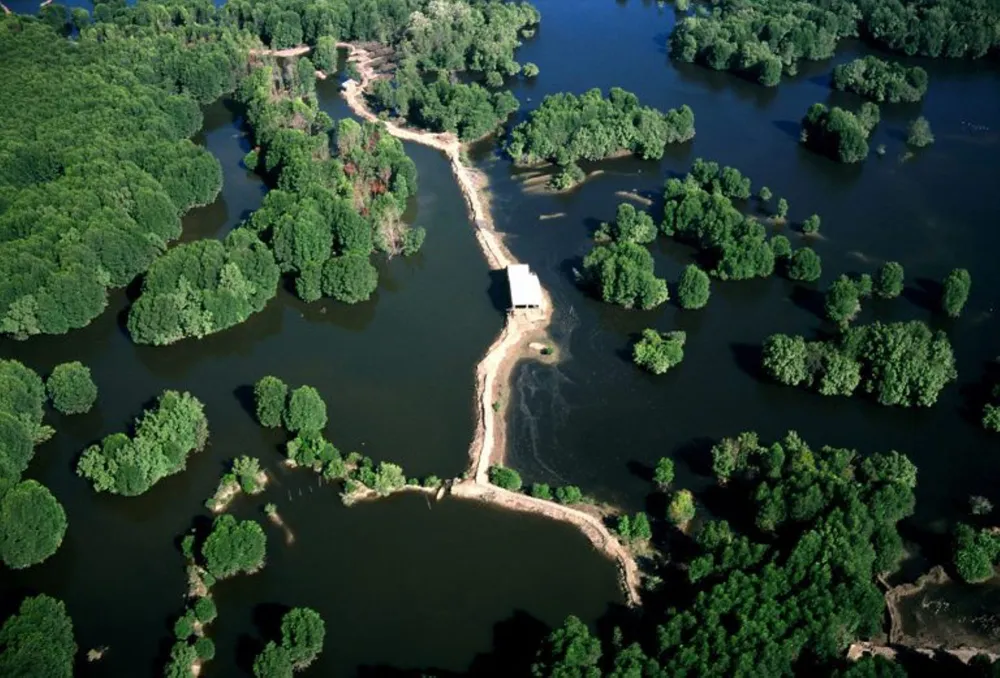 Khu dự trữ sinh quyển Cần Giờ. (Nguồn ảnh: TTXVN)