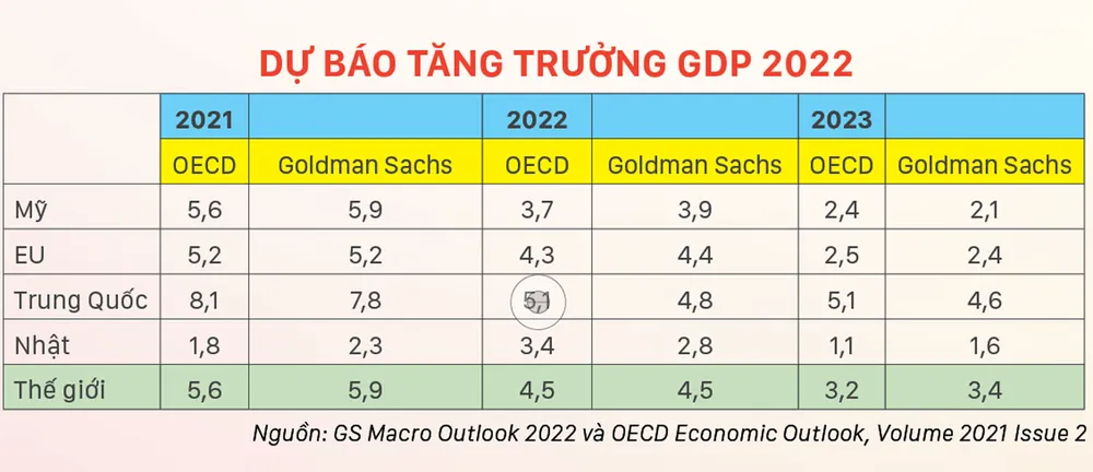 Dòng tiền thế giới chảy về đâu trong năm 2022? ảnh 1