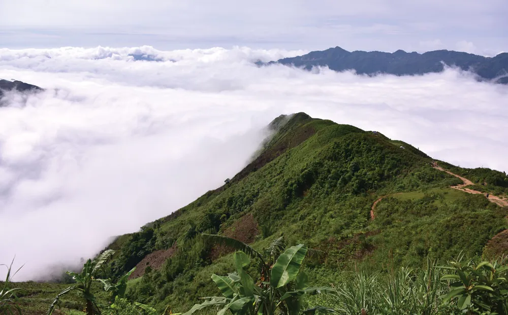 Tản mạn chuyện mây trà ngày xuân ảnh 1