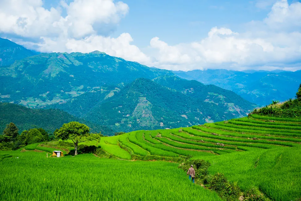 Linh vật hổ đá trên rẻo cao Y Tý ảnh 3