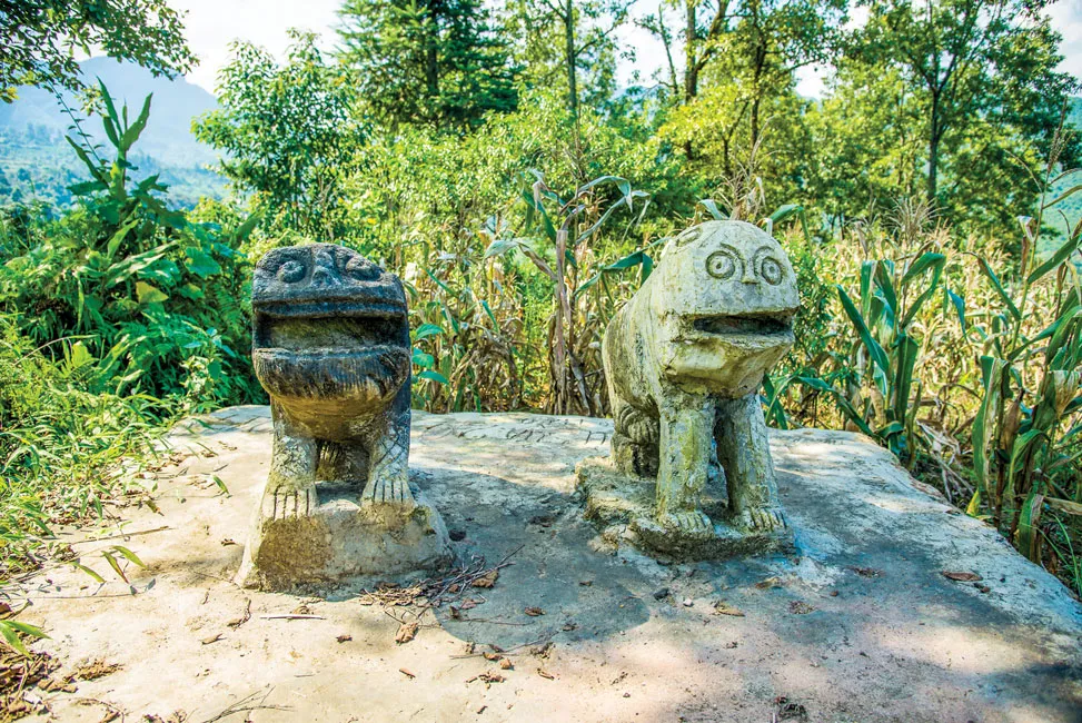 Linh vật hổ đá trên rẻo cao Y Tý ảnh 1