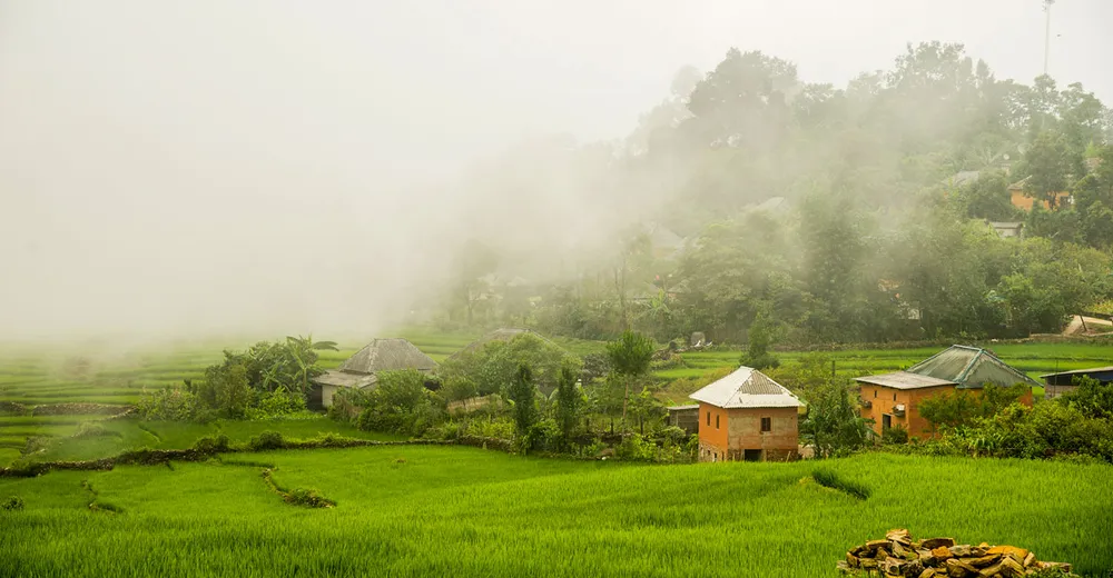 Linh vật hổ đá trên rẻo cao Y Tý ảnh 5