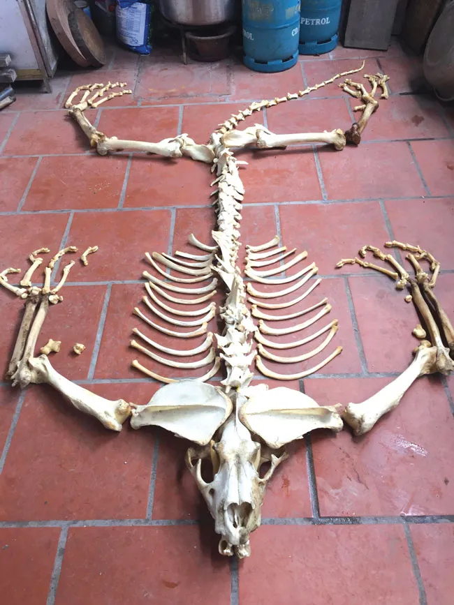 Tản mạn chuyện “ông Ba Mươi” ảnh 2