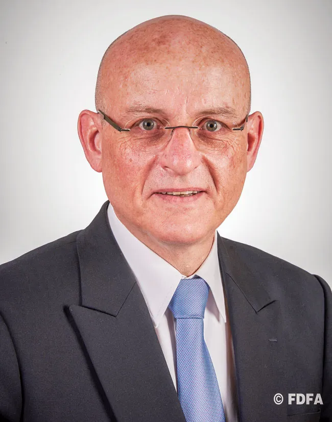 Việt Nam-Thụy Sĩ hướng tới một thế hệ FDI kế tiếp ảnh 1