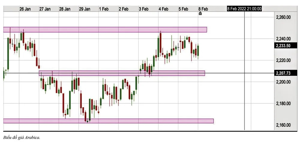 Thị trường cà phê vẫn lo ngại nguồn cung, giá sẽ tăng ảnh 3